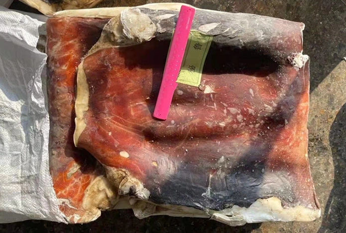 Hot Sale Seafood Product Frozen Giant Squid Wing/Ear