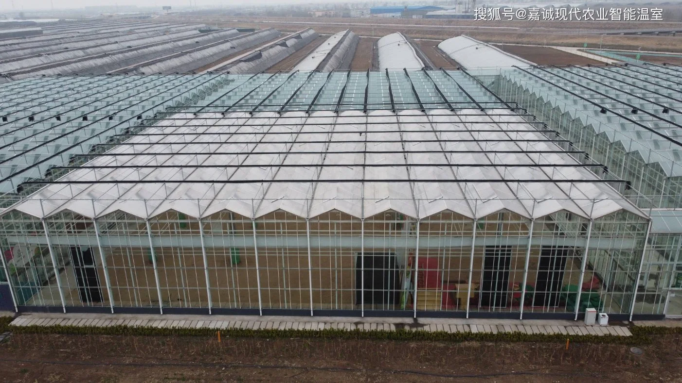 Venlo Eco-Garden with Hydroponics and Irrigation System