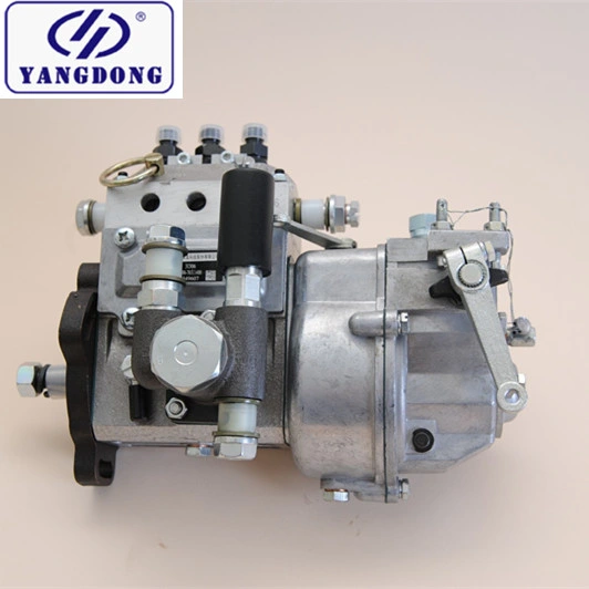 Foton Lovol Tractor Parts Engine Parts Fuel Injection Pump