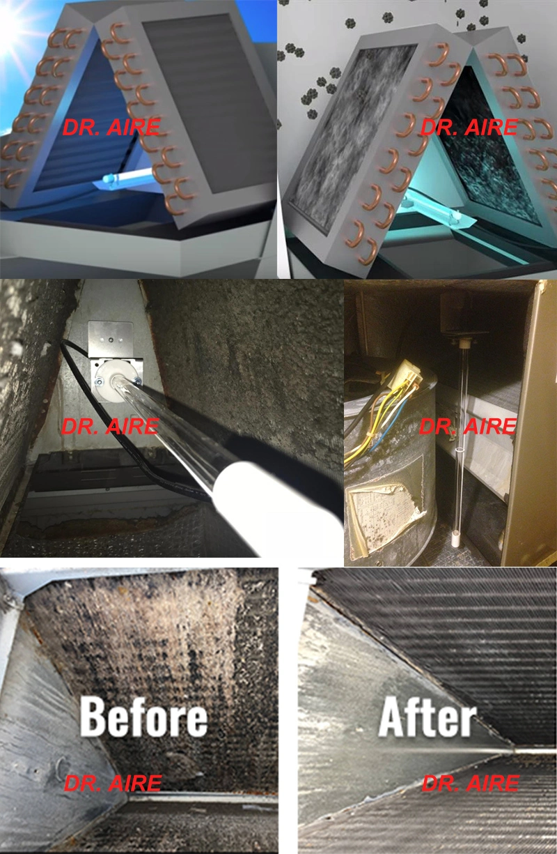 Ultraviolet UVC Germicidal Ozone Lamp Sterilizing Disinfection in Air Ductwork