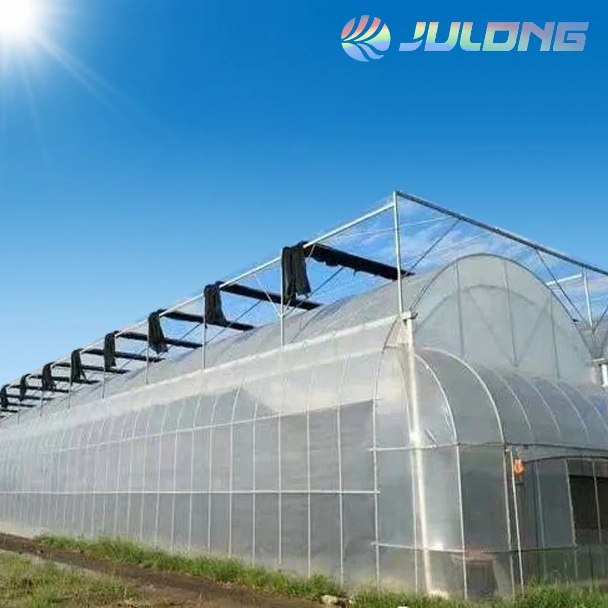 Hydroponic Growing System Plastic Film Greenhouse for Vegetables with Installation