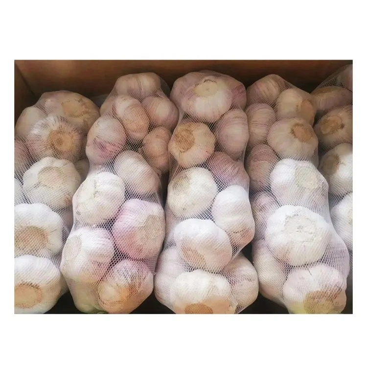 Good Price Fresh Garlic 5kg/Bag