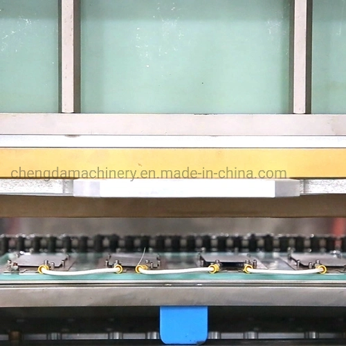 CD-3450 Automatic AAA Battery Blister Packing Equipment