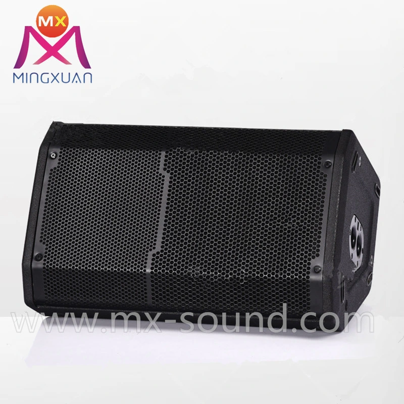 1000W Professional Speaker for Outdoor Sound System