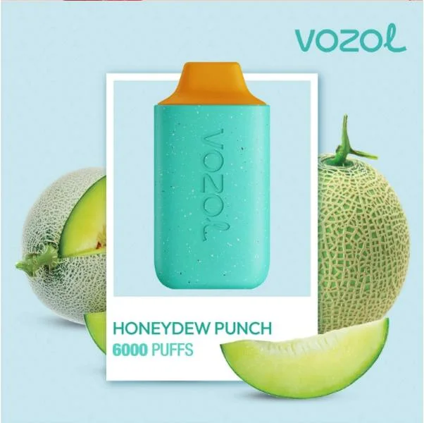 Latest Flavors Top Quality Vozol Star 6000 Puffs 14ml E-Juice Mesh Coil Disposable/Chargeable Vape Cartridge Rechargeable Portable vape Kit Atomizer Wholesale/Supplier