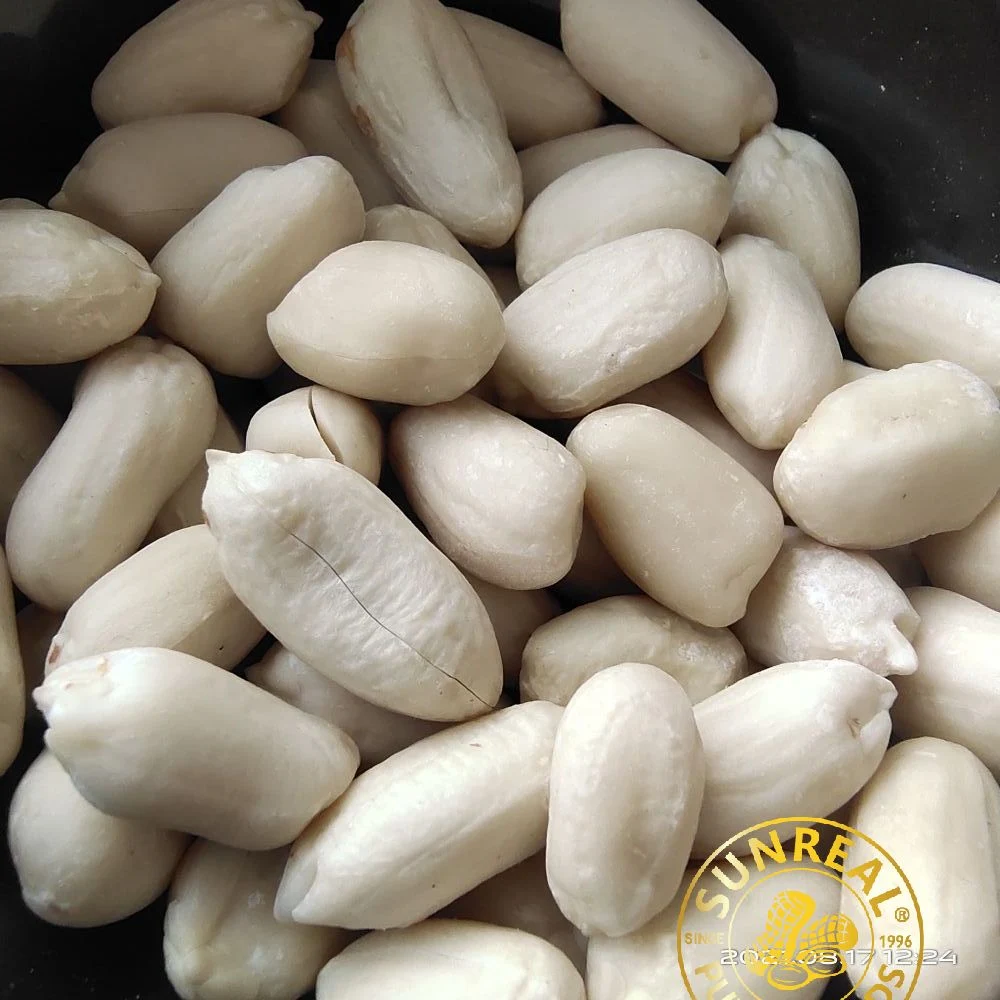 Raw Blanched Peanut Kernels/Virginia/Clean and Plump/China/Pukee