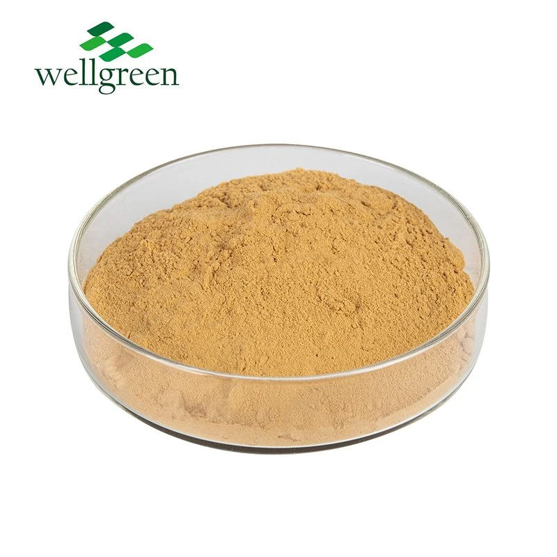 Root Kavalactones 99% Powder Kavalactone 70% Wholesale/Supplier Pure Natural Herbal 70 Kava Extract