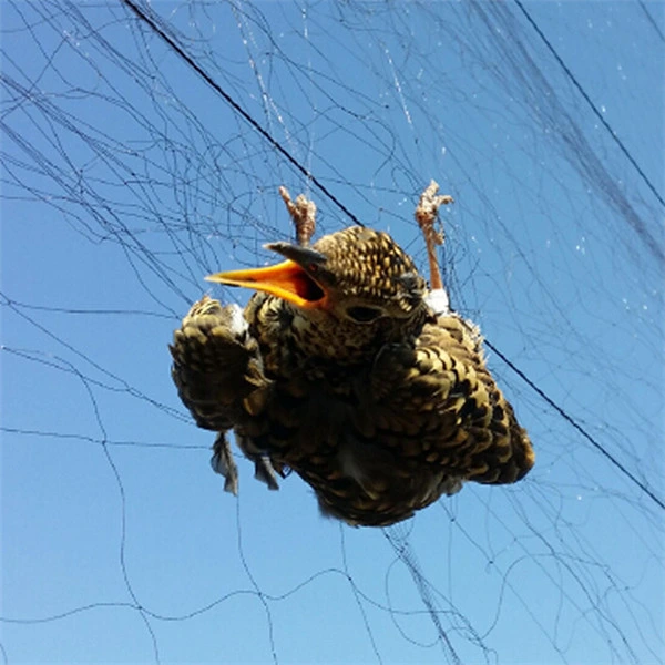 Long-Life Extruded Anti Bird Netting