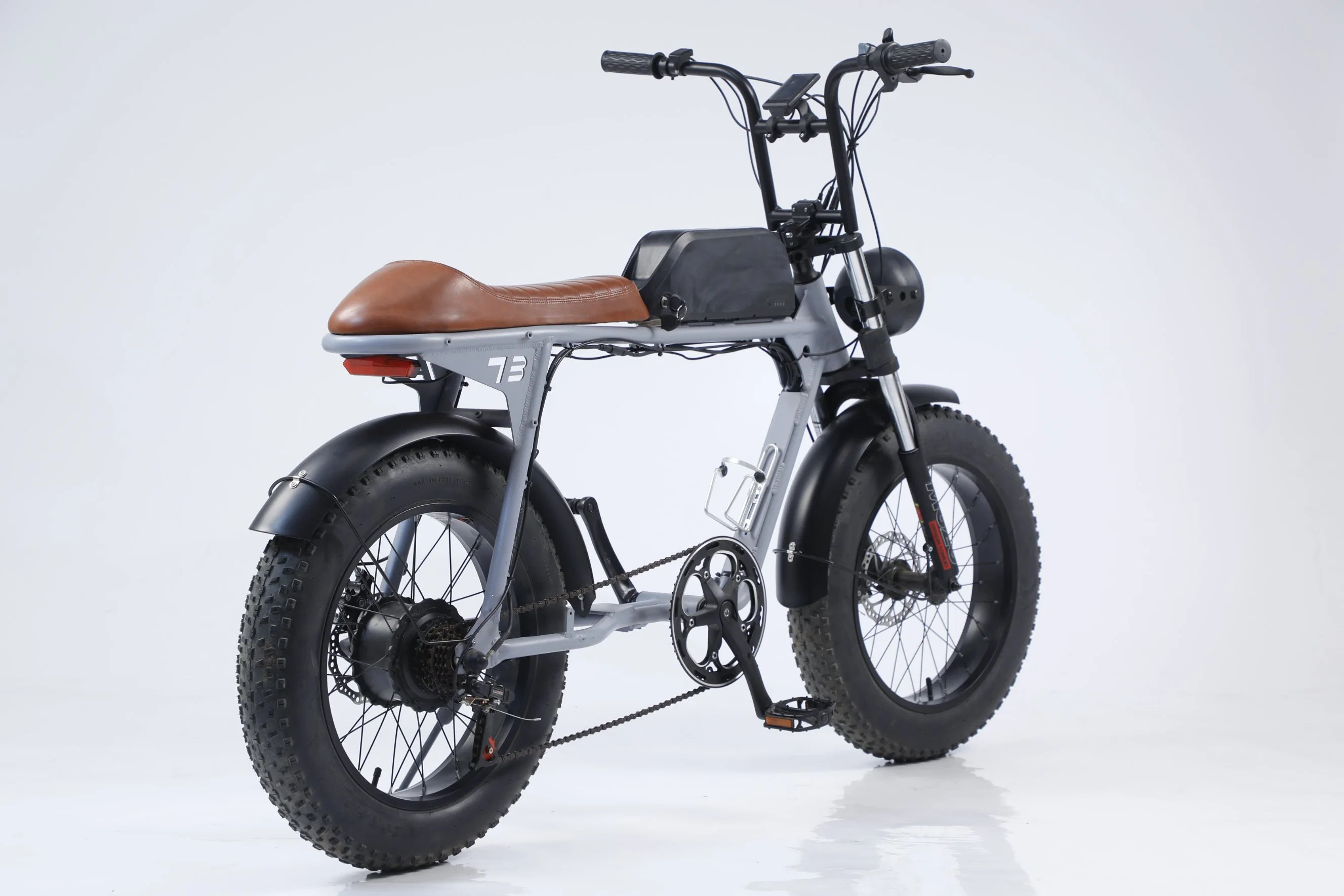 Schmutz eBike off Road Elektro Fahrrad heißen Verkauf