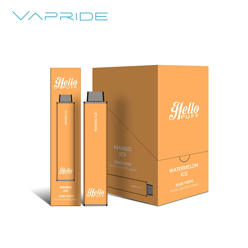 Smoke Vape Pen 10 Fruit Flavors Disposable/Chargeable Vaporizer Electronic Cigarette Pod 5500puffs