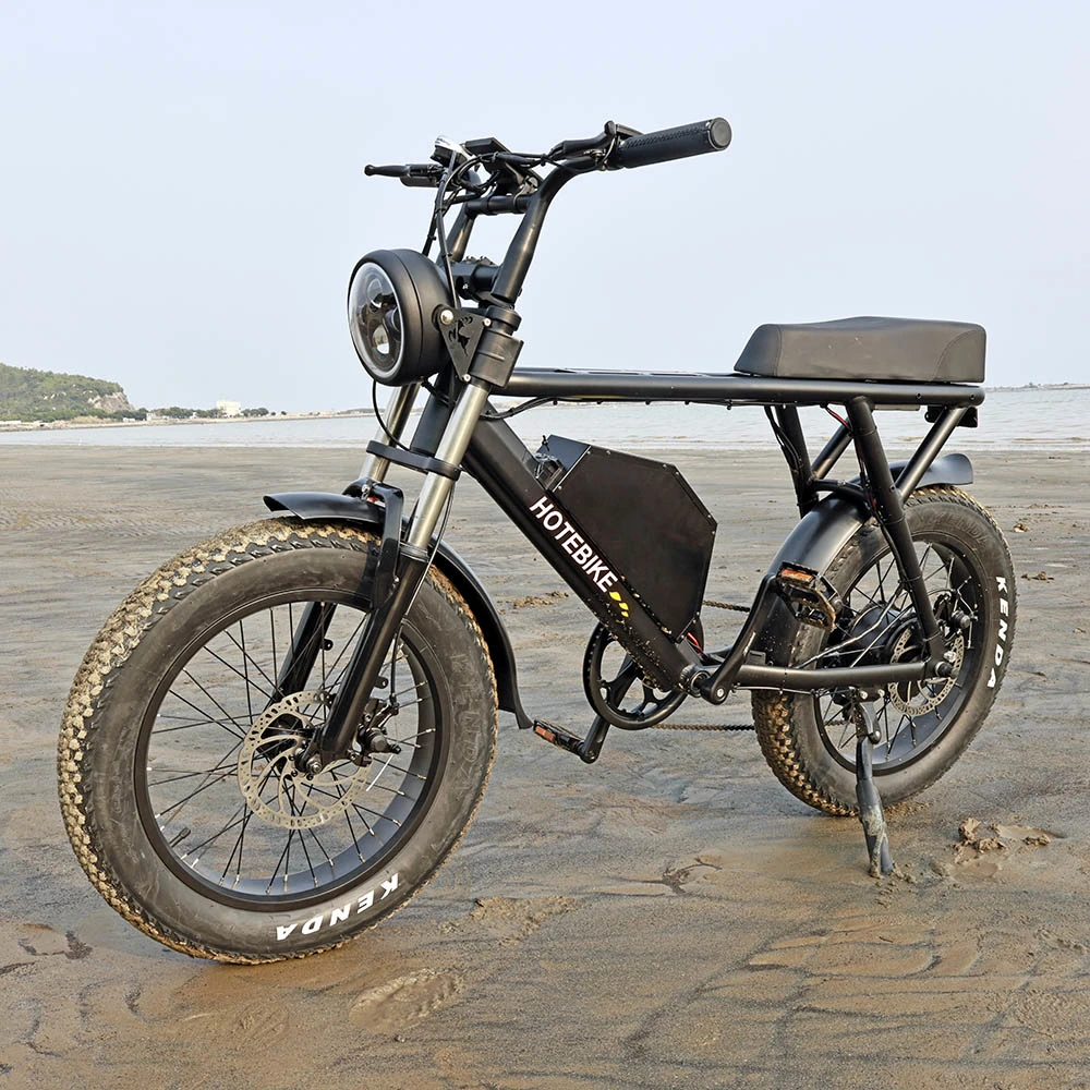 20 Inch Aluminum Alloy Frame Fat Tyre Rear Motor Cross Road Electric Bike 500W 750W Dirt E Bike