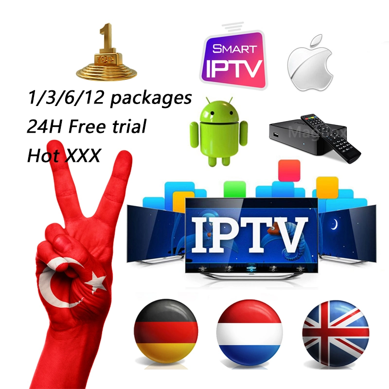 Hot Sell Best Trial IPTV Reseller Panel Nice IPTV Swiss Denmark Exyu Arabic Germany