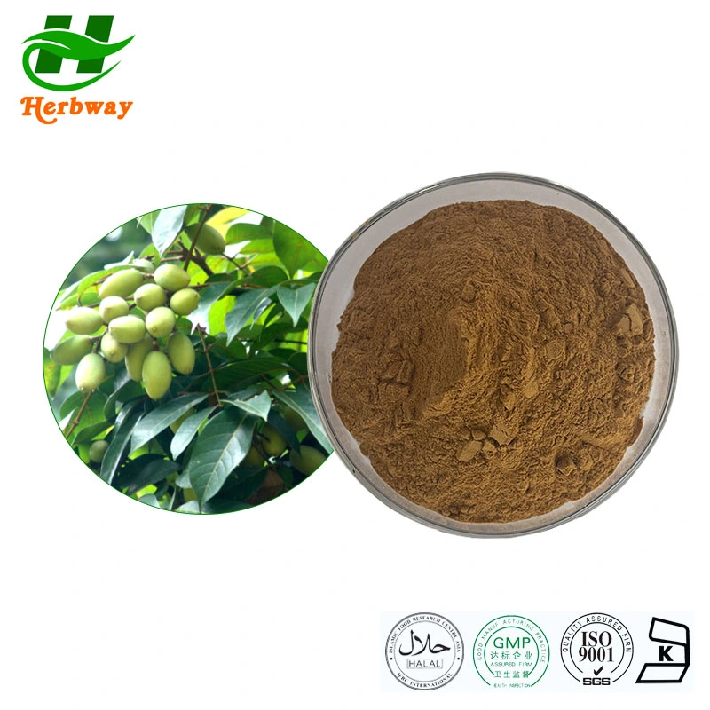 Herbway China Supplier High quality/High cost performance  Competitive Pirce 20% Hydroxytyrosol Olea Europea L Olive Leaf Extract Natural Supplements