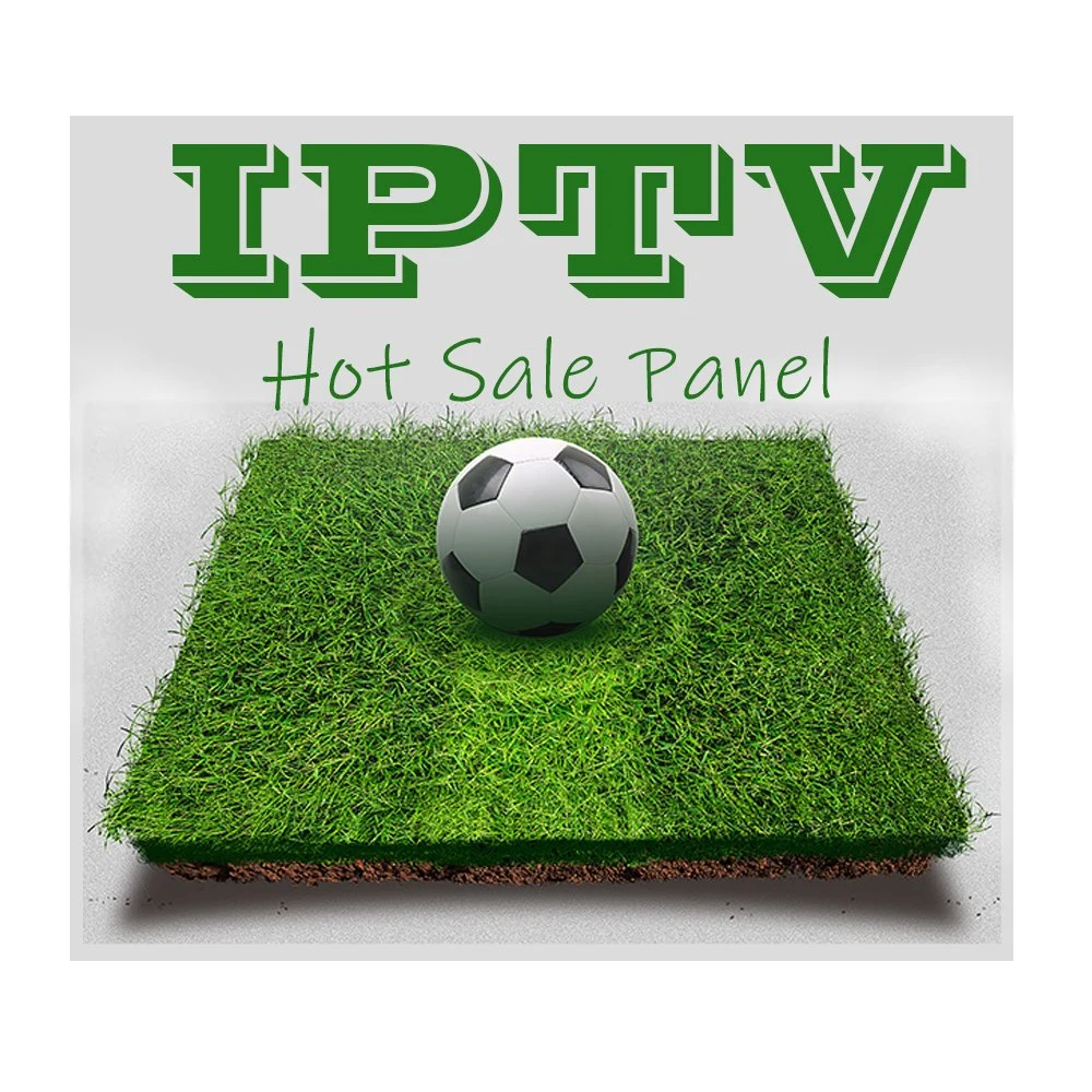 IPTV Italien M3U Albanien Spanien Belgien Deutschland Nordamerika Arabisch Italia Smart IPTV Reseller Panel mit Credits Android TV Box