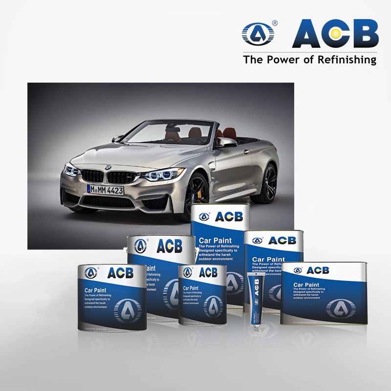 Acb Auto Paint Putty for Car Body Filler