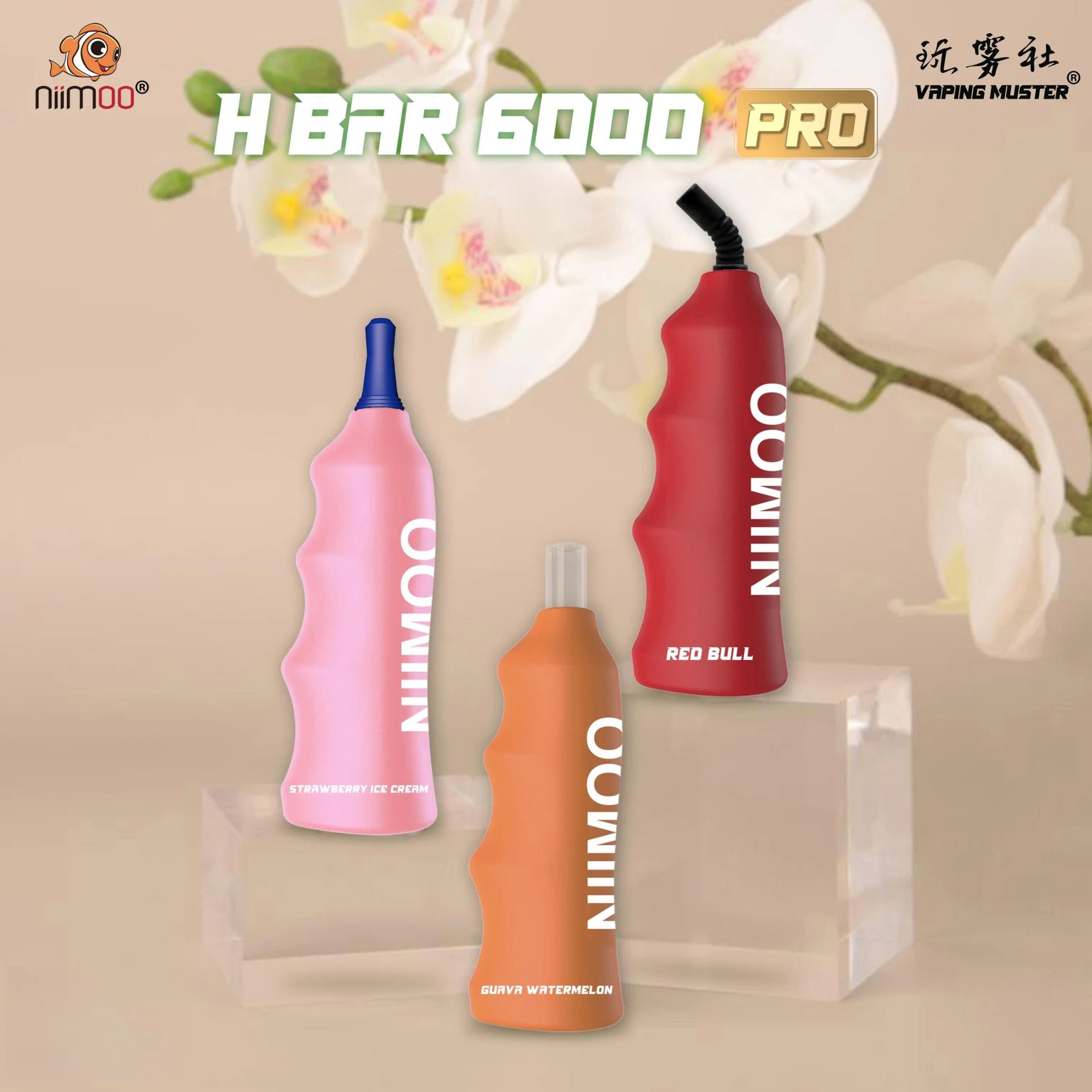 Niimoo Portable 10ml Silica Gel Mesh Coil Puff Bar Einweg Vape Pen 4000puffs Plus OEM ODM Großhandel/Lieferantskökige