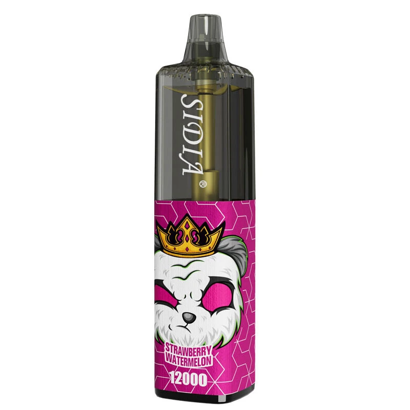 Oil Core Separation 20ml Goût de Fruits Cigarette Électronique Jetable Alibaba Puff Distributeurs Sidia 12000 Bouffées