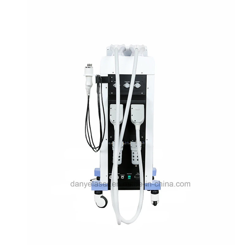 New 360 Cryolipolysis Anti Aging and Weight Loss Beauty Salon Slimming Equipment with Cheaper Price