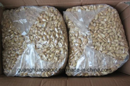 New Crop Roasted Salted Peanut Kernels Jumbo Size