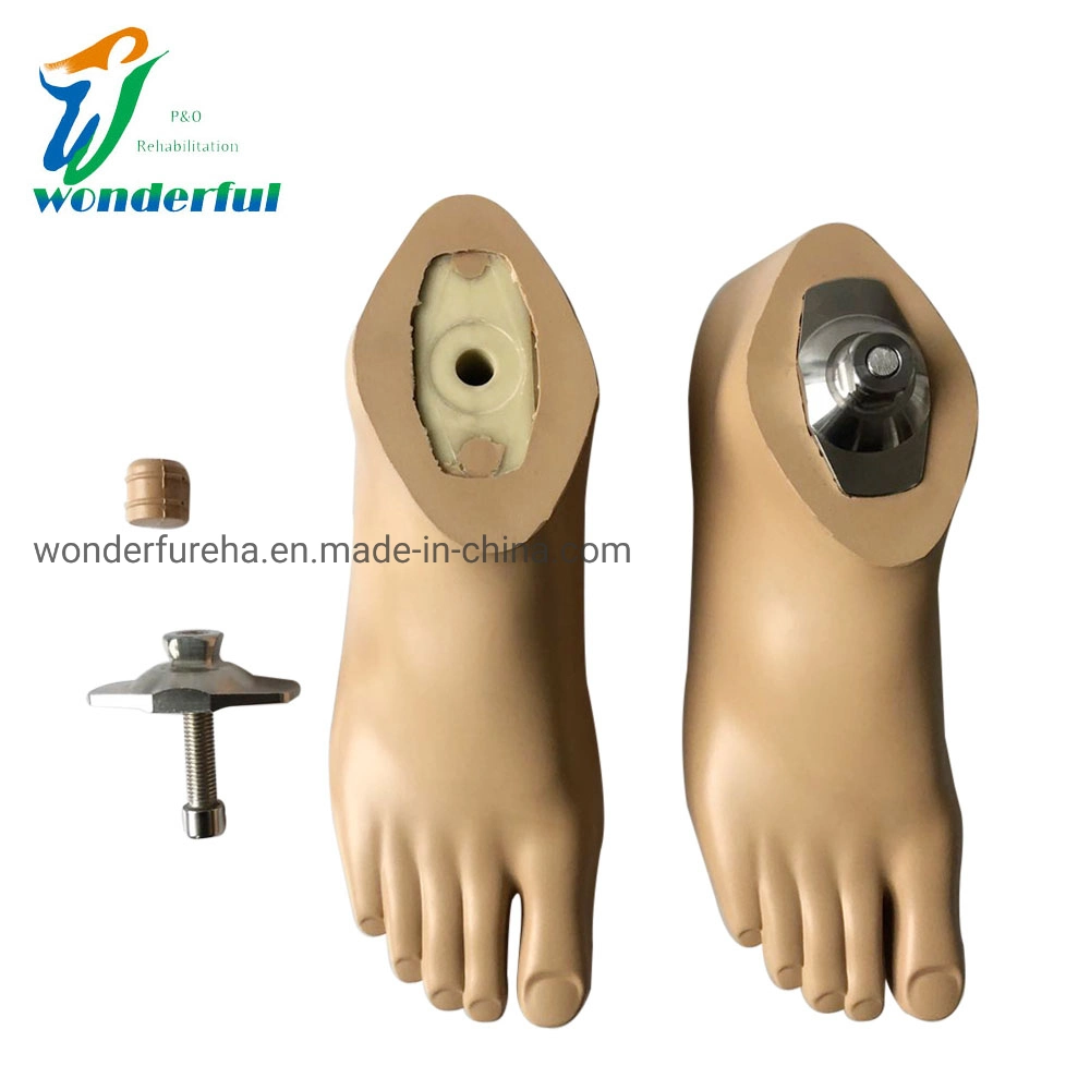 Miembros artificiales pie artificial impermeable con núcleo plástico Prosthetic Sach Pie Prosthetics pie