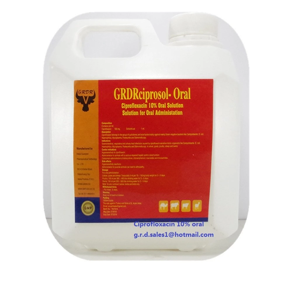 Veterinary Drug Antibiotic Ciprofloxacin 20% Oral Solution Poultry Medicine