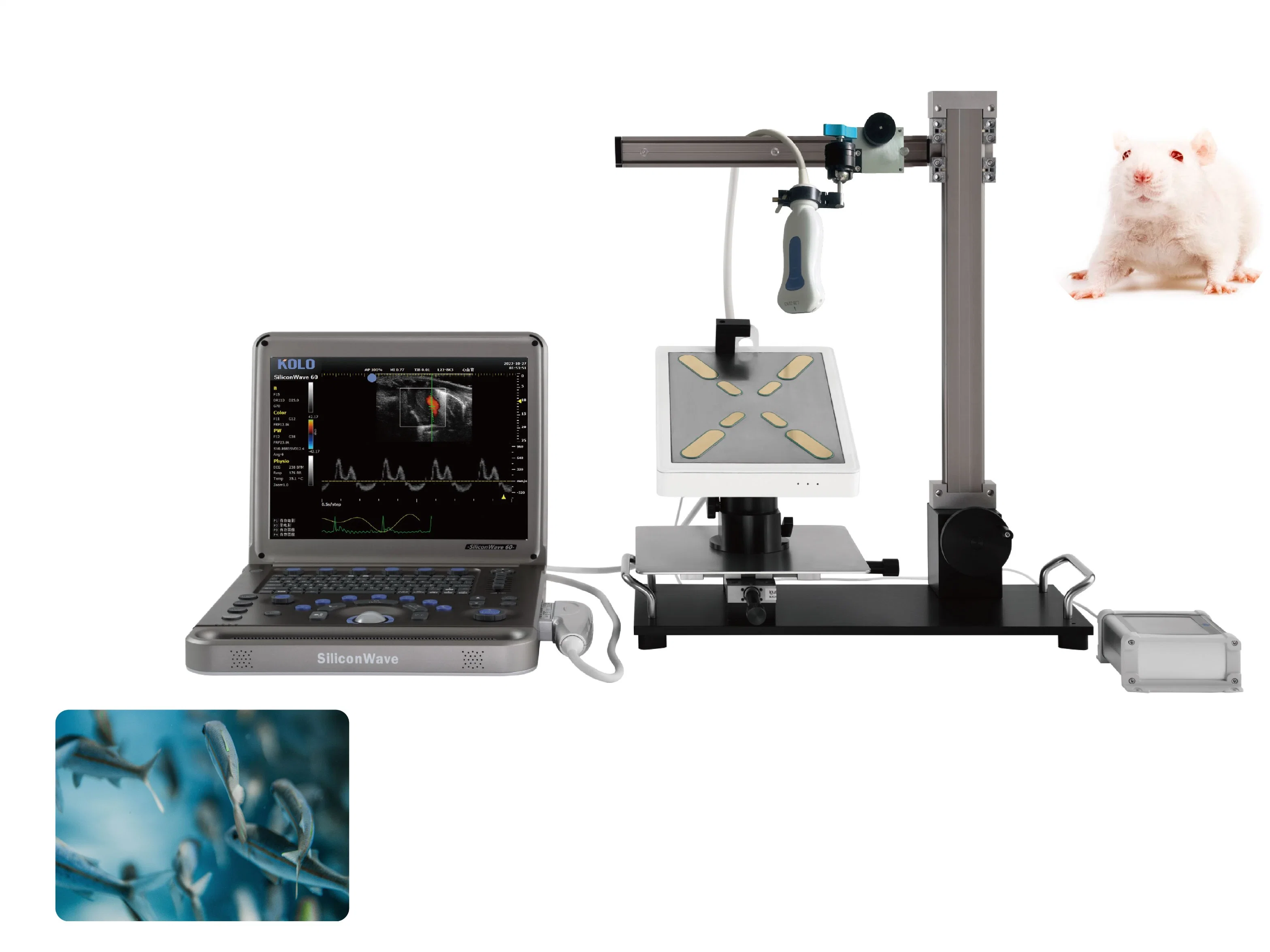 Portable Ultrasound Machine for Laboratory Animal Research Color Mode