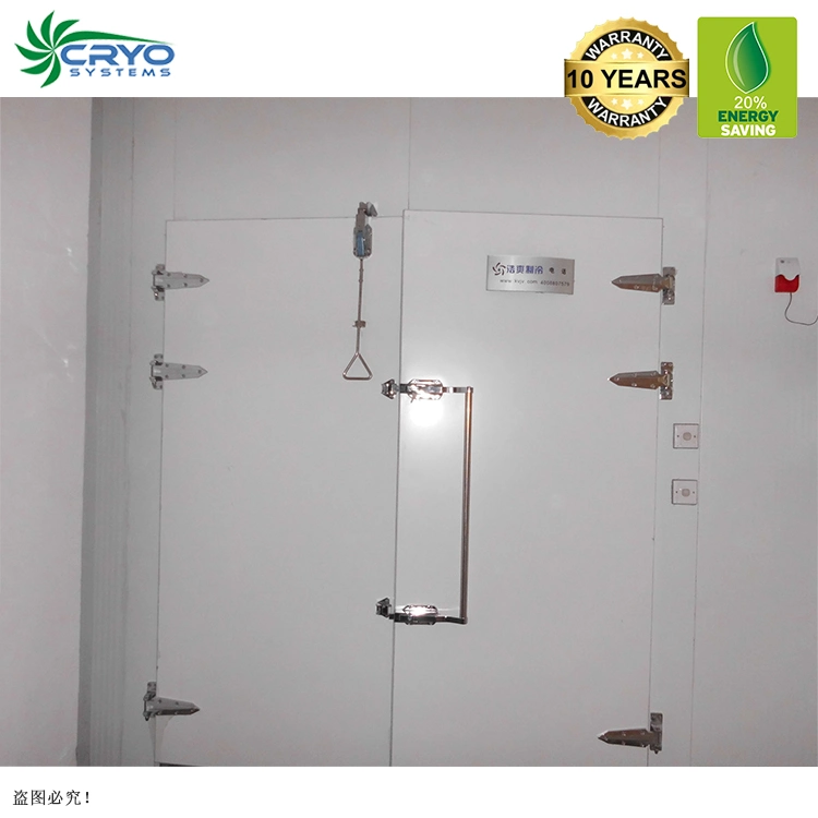 Frozen Salmon Heads Fresh Chicken Table Eggs Cold Rooms Guangzhou Ice Cream Cold Storage Room Cold Storage System