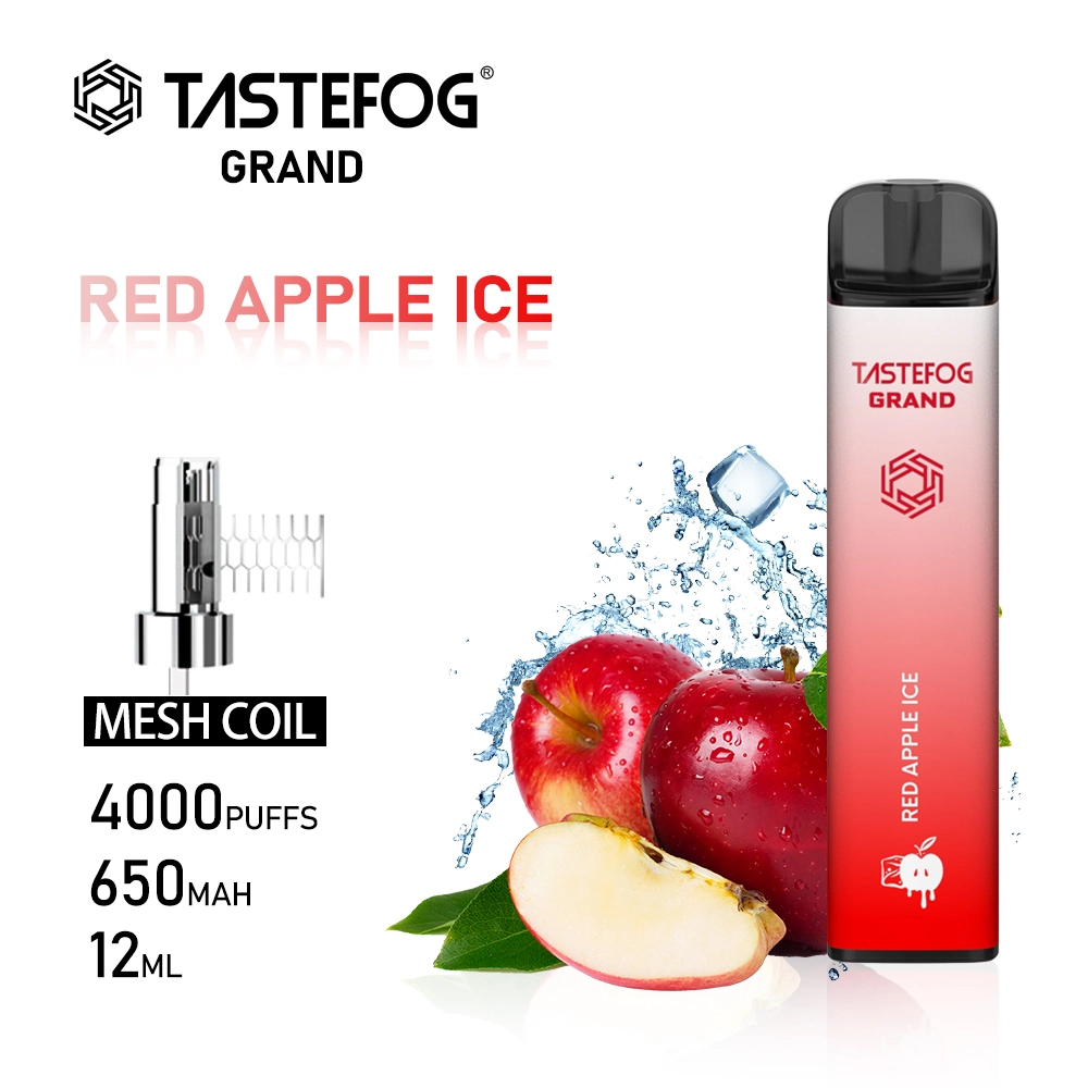 Tastefog Grand Electric 4000 Puffs VAPE Cigarette Shisha Pluma