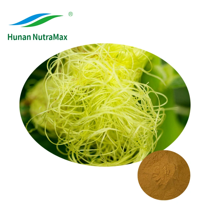 100% Natural Corn Silk Extract (10: 1 Extract Powder)