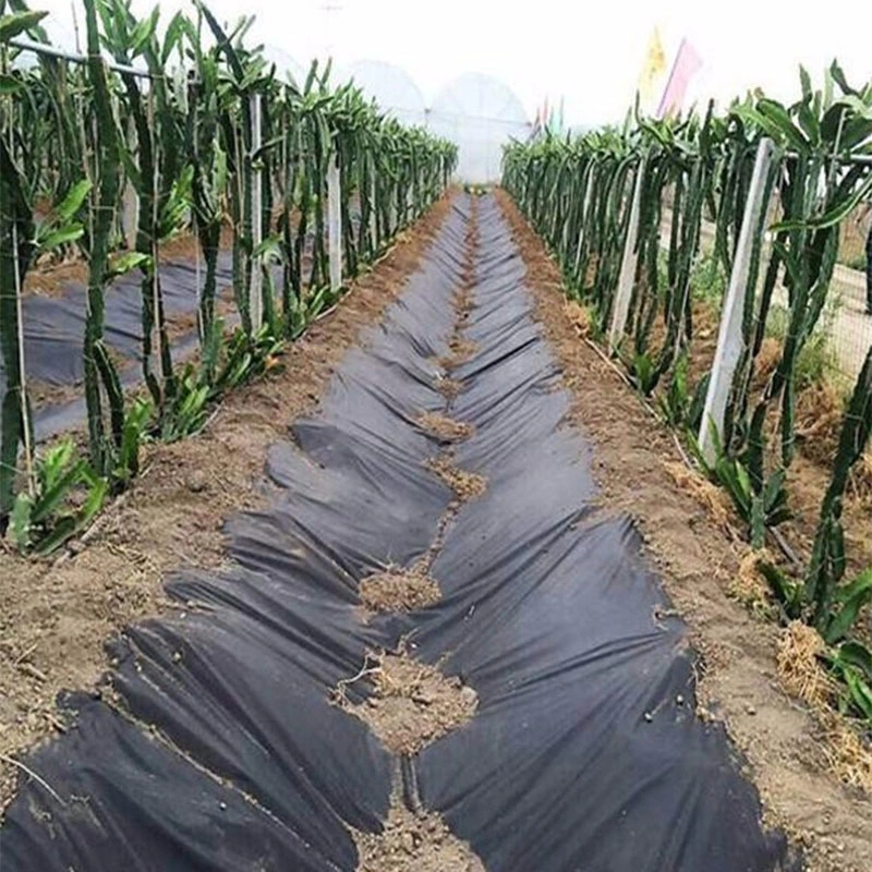 Polypropylene Degradable Garden Agricultural Ground Cover Landscape Fabric Weed Barrier PP Nonwoven Fabric