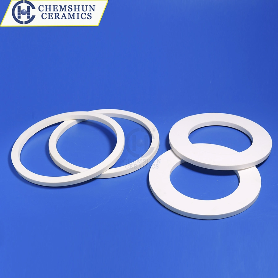 Industrial Abrasive Ceramic Segment and Rings as Abrasion Resistant Materials