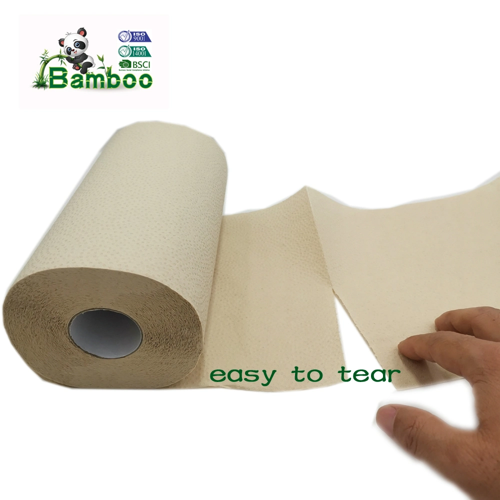 Bamboo Rouleaux de Papier Essuie-Tout Pack de 2 Rouleaux (2 épaisseurs) Biodégradables, Polyvalents, Sans Plastique, Écologiques, Super Absorbants, Solides et Durables