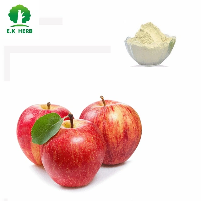 E. K Herb 100% naturel extrait de cellules souches d'Apple en poudre extrait de pomme de 100 % organique soluble dans l'eau de la poudre de jus de pomme de poudre d'Apple Apple Extrait Extrait de racine d'Apple