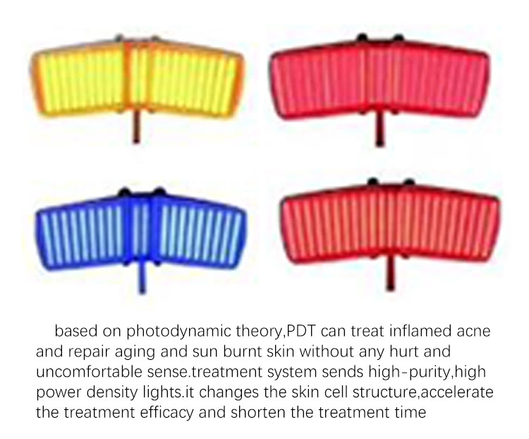 Adg Doppelgriff Lichteinlassende Photodynamische Photon Beauty Color Lights Therapie für die Hautpflege