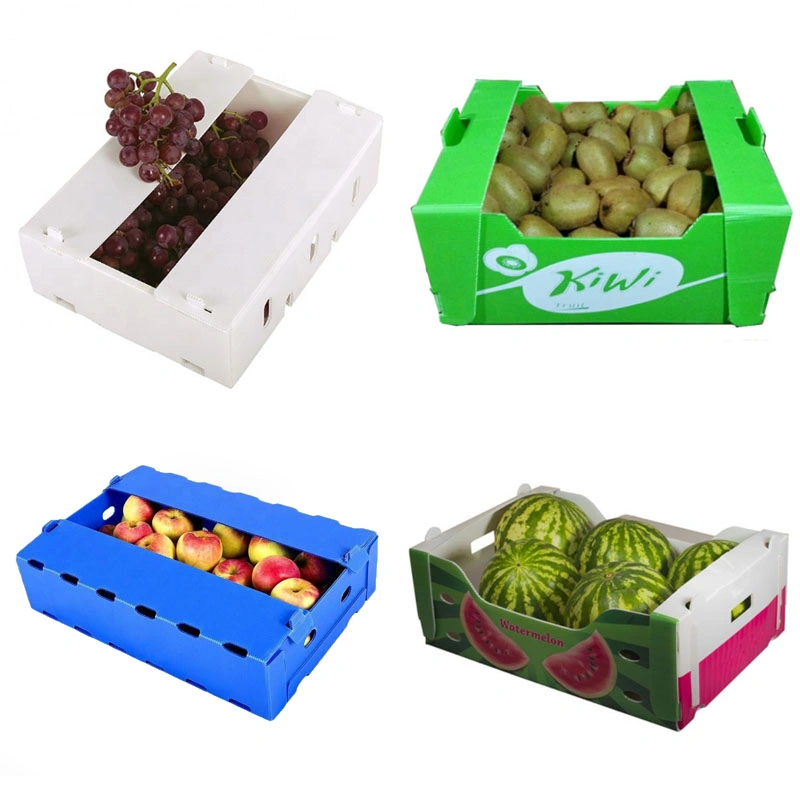 Corrugated/Hollow/Twin Wall/Coroplast/Corflute/Correx PP/Plastic Turnover/Collapsible/Foldable/Storage/Shipment Fruit & Vegetable Carton