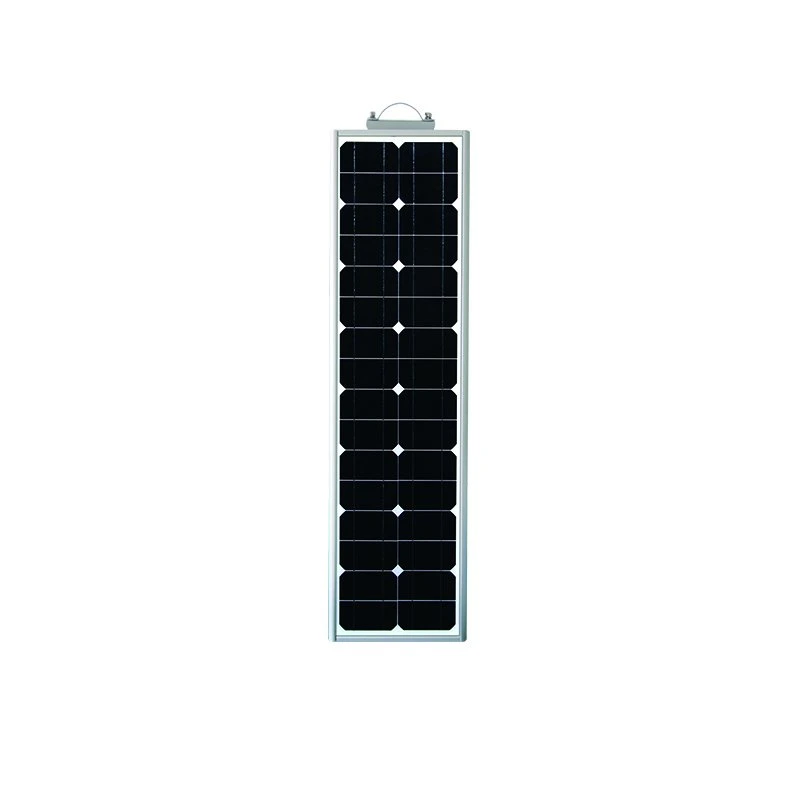 China 20-40W All in One Solar Power Energy Solar Street Light