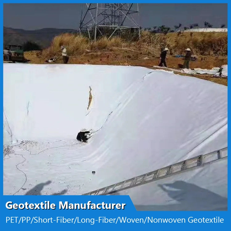 Geotextile Filter Fabric for Slope Dam 300g Fabric Non Woven Geotextile Construction