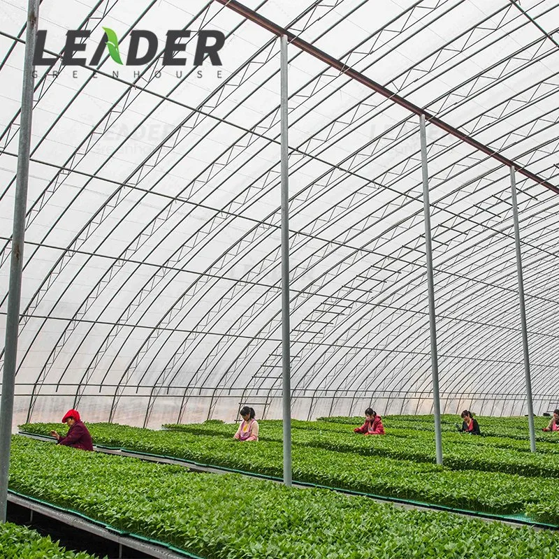 Plastic Shed Greenhouse Plastic Film 120 Micron with Low Price