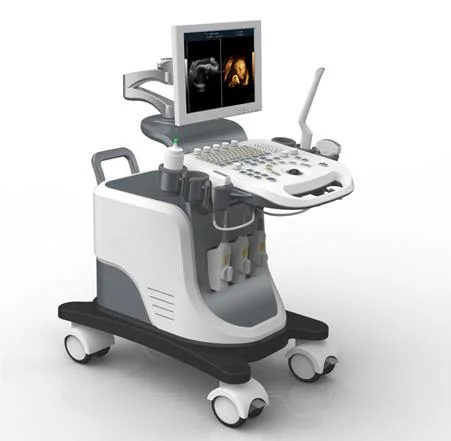 Xf7500 Trolley Color Doppler Ultrasound Scanner for Cat