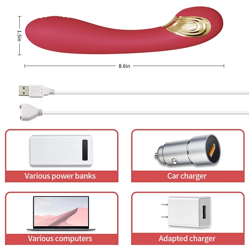 Adult Suction Vibrator Wearing Penis Vibrator Sex Toys for Women