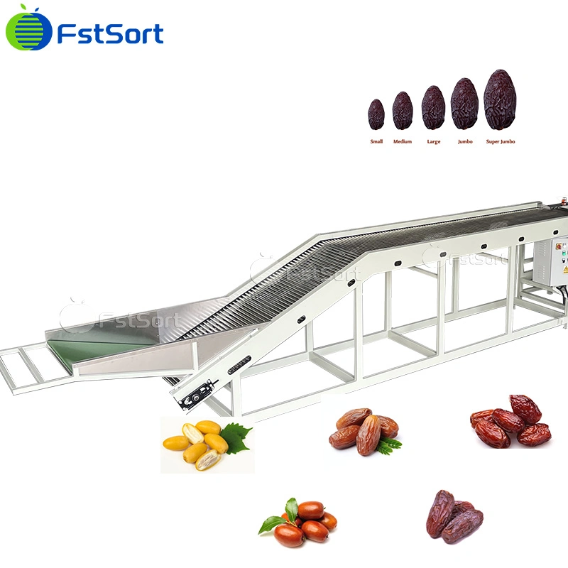 Fstsort Fruit Washing Trocknen Sortiermaschine Fruit Processing Equipment Dates Sortiermaschine Datteln Verarbeitungsmaschinen Dates Sortiermaschine