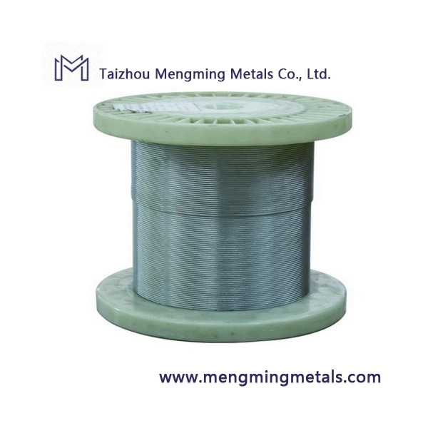 Plastic PVC/PP/PE Coated Stainless Steel Wire Rope for Invisible Protective Rope with High Tensile and Quality