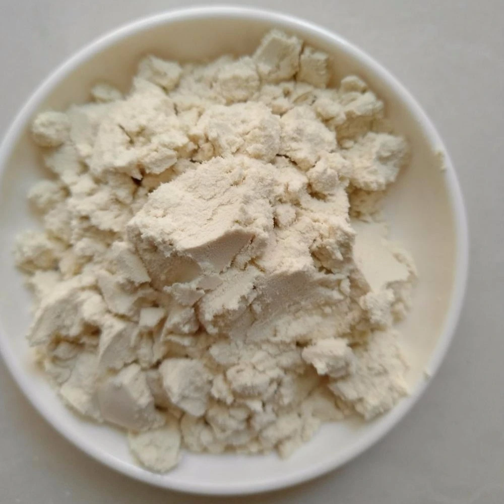 تركيز Soy Protein Soybean Extract Soy Protein