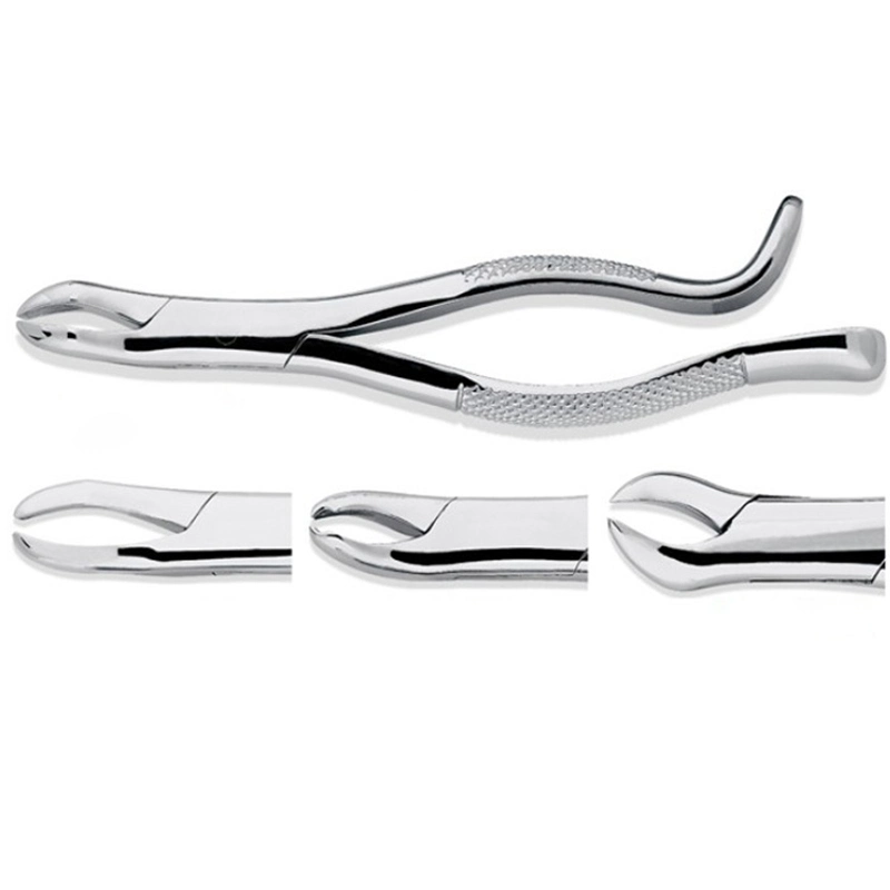 Stainless Steel Dental Examination Surgical Tools Dental Instruments Forceps