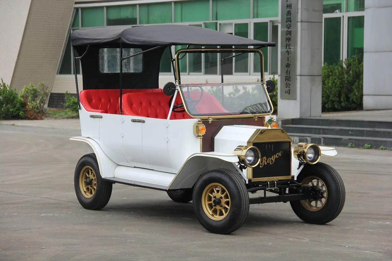 Coche eléctrico de alta velocidad China Turismo automóvil Modelo T con puertas