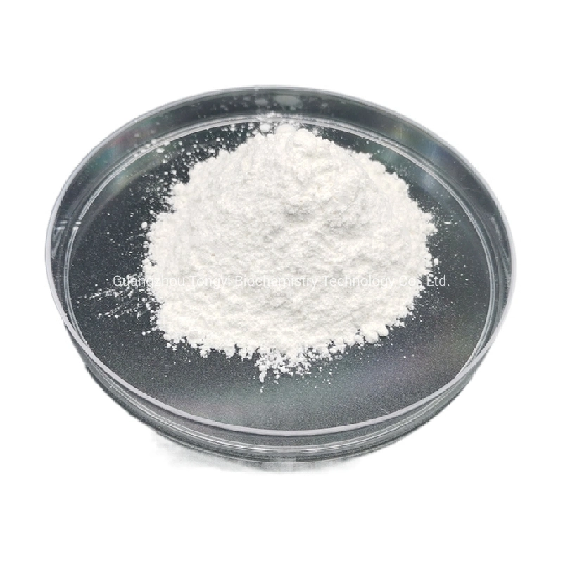 Manufacturer Supply High quality/High cost performance  CAS 1305-62-0 Calcium Hydroxide