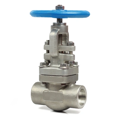 Stainless Steel Forged Globe Valve