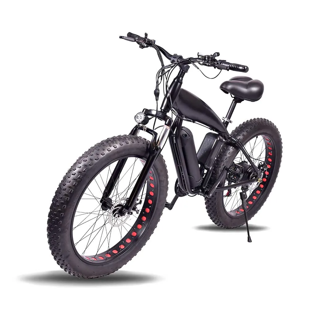Factory Direct Electric Bike with Big Wheel 36V 500W Motor