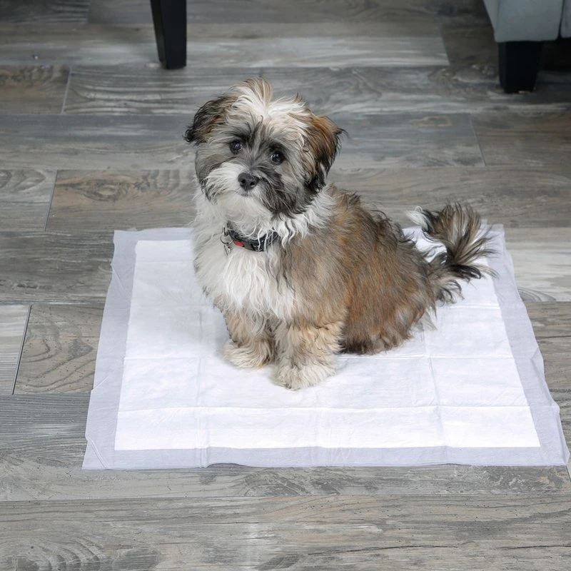 Puppy Training Pad Wholesale/Supplierrs Potty Pad Waterproof Pet Urine Pad