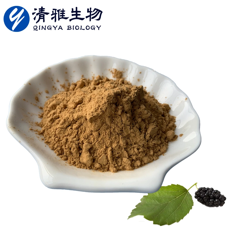 Natürliche Hypoglykämische Lipid-Senkende Blutzucker Mulberry Leaf Extract 10: 1 Mulberry Leaf Powder